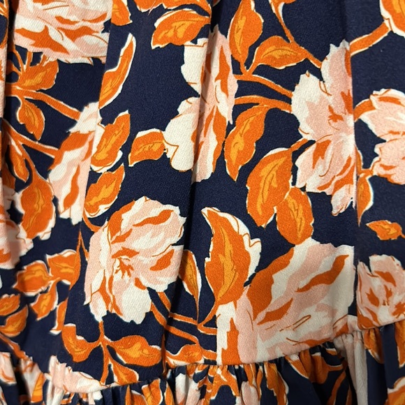 Amur - Picture 13 of 14